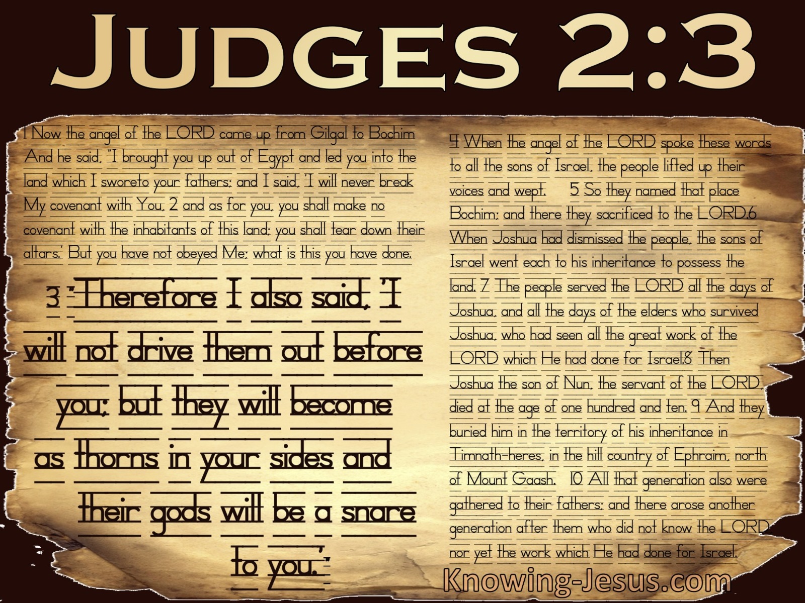 Judges 2:3 A Thorn In Your Side (beige)